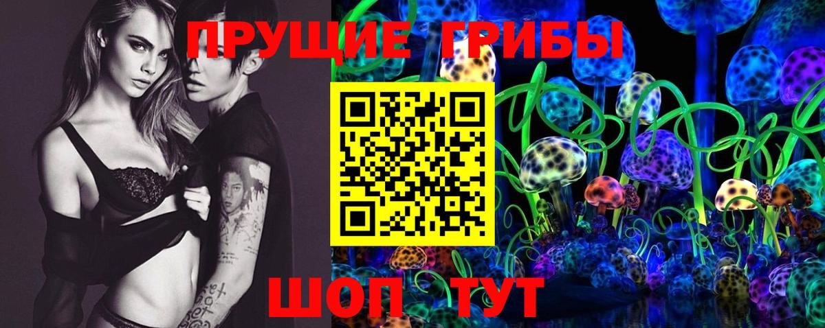 Санкт-Петербург  Псилоцибиновые грибы MAGIC MUSHROOMS  Вход с VPN 